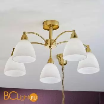 Потолочная люстра Orion Leuchten DLU 1696/5 MS-matt